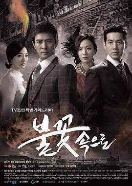 高开seo网站优化